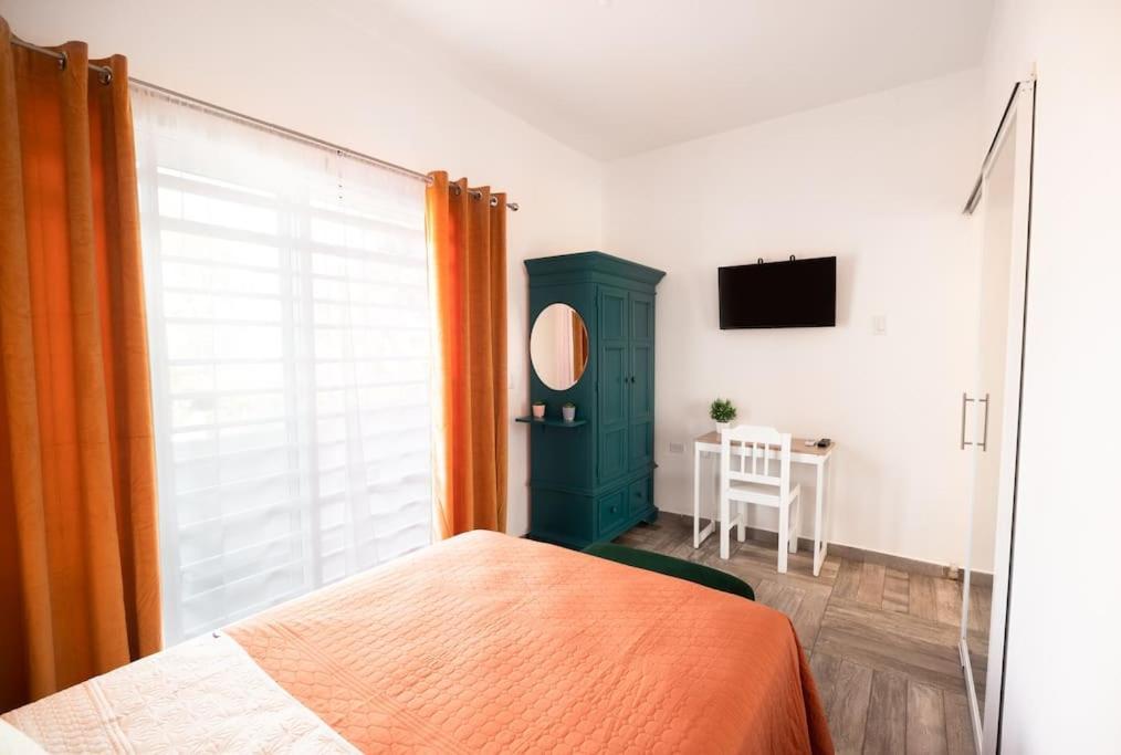 New Apt Super Cozy & Pet Friendly Close To Marina #3 La Paz Exterior foto